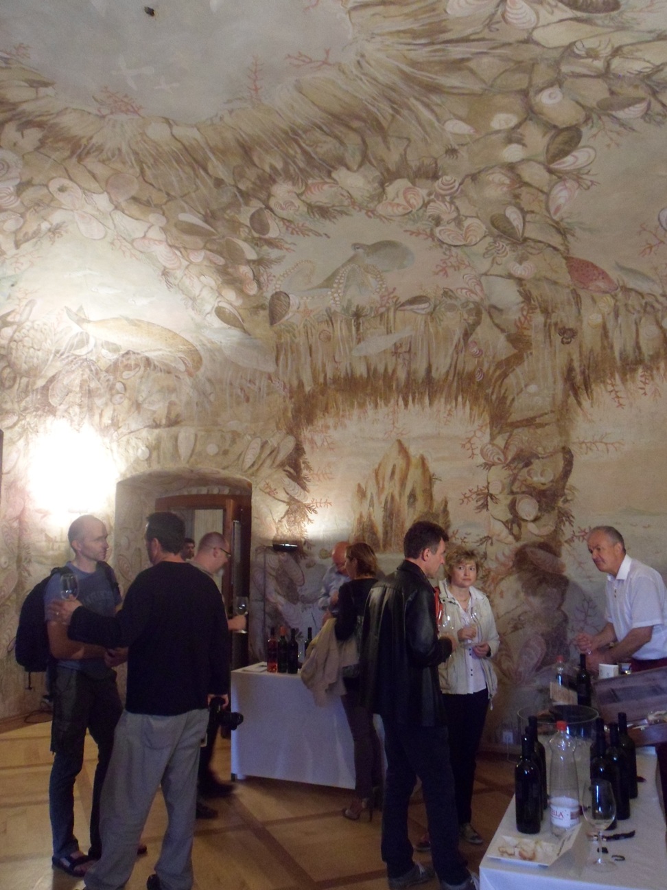 Sala del Castello di Zemono