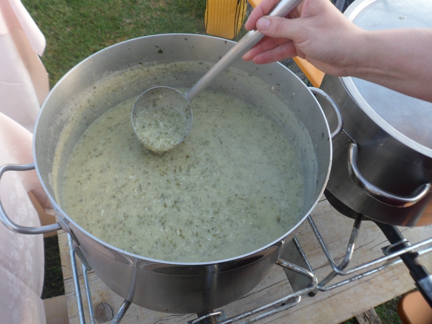 Zuppa alla matricaria