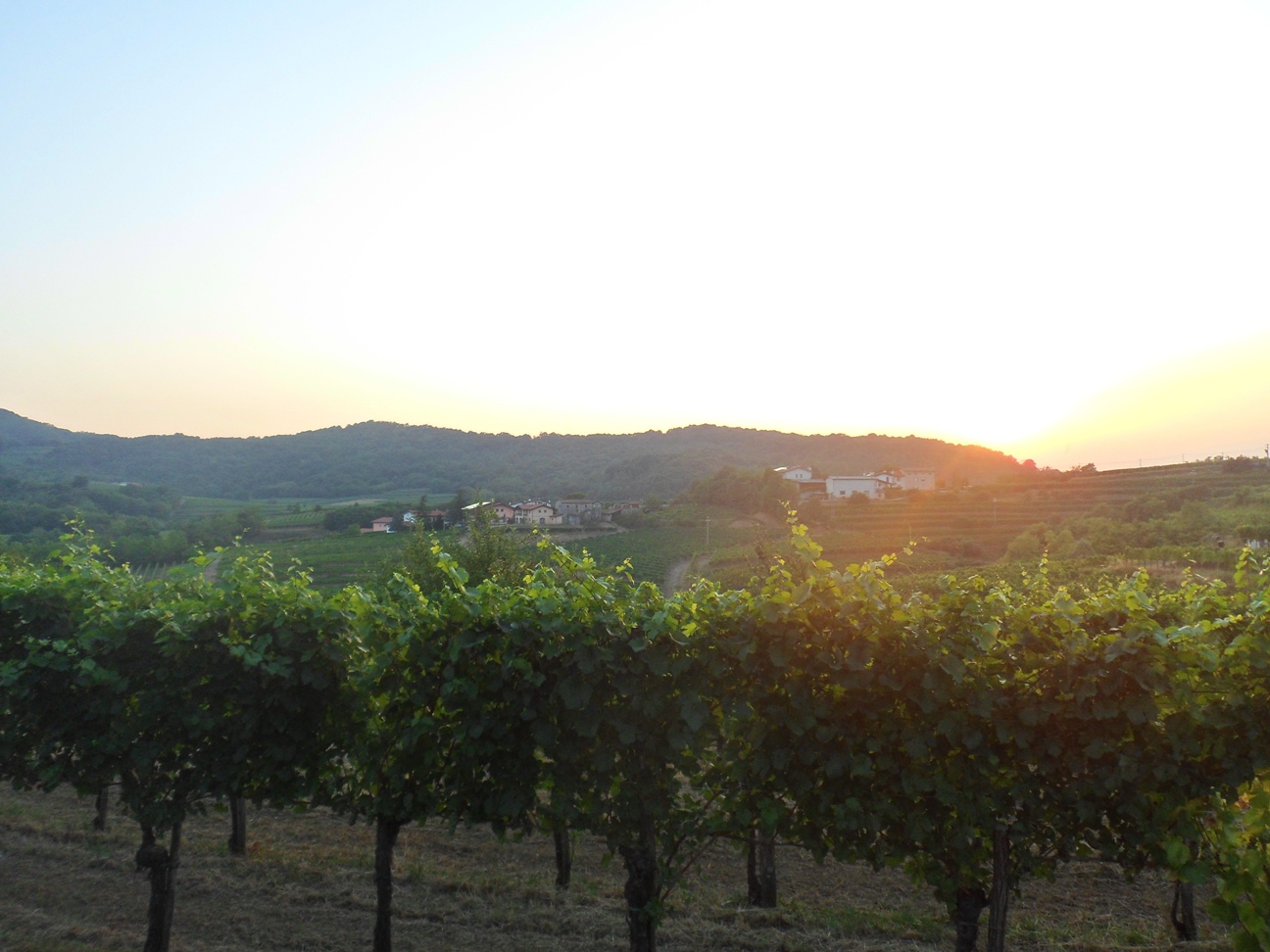 Vista dalla località di Zegla a Cormons