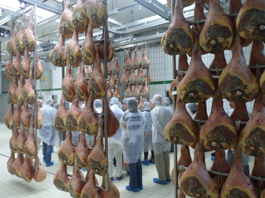 Visita al prosciuttificio a San Daniele