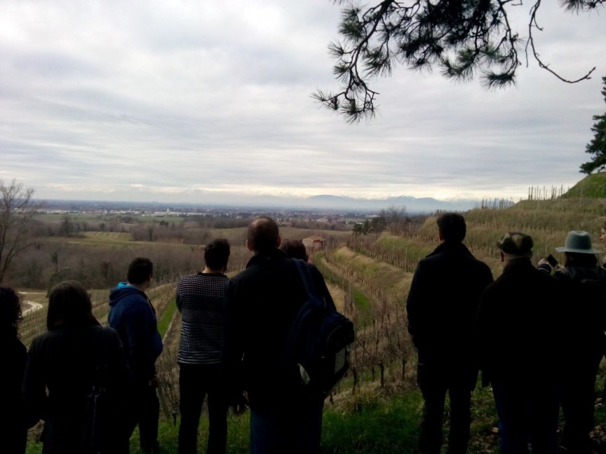 Dalle colline di Rocca Bernarda