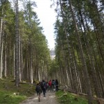 Alla fonte di Fleons
