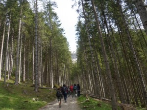 Alla fonte di Fleons
