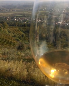 Collio Bianco