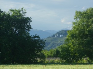 Il Monte Quarin visto da Corona