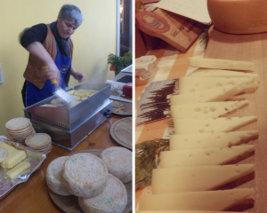 Formaggi nella Bassa Friulana