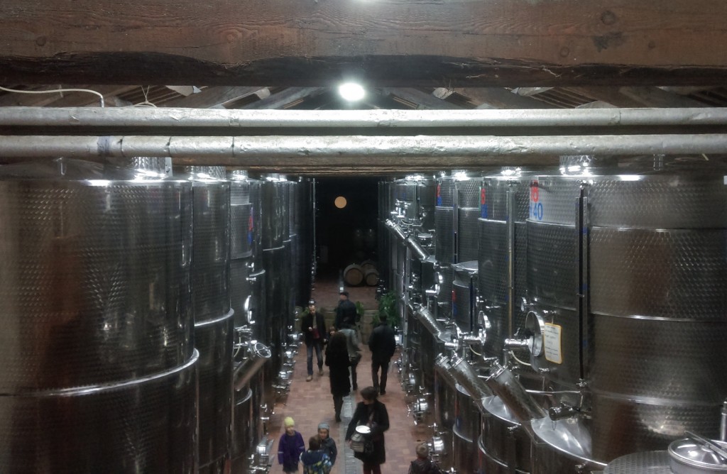 Tenuta Beltrame a Privano (UD)