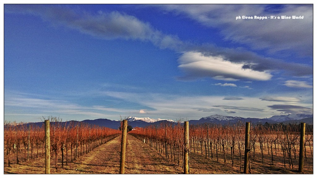 Il Friuli Venezia Giulia del vino, anche in inverno!