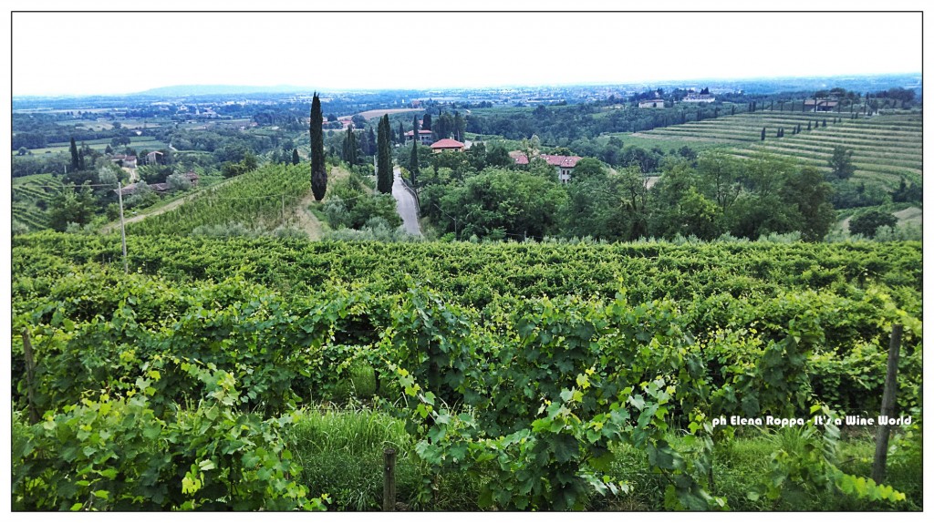 Friuli Venezia Giulia, i Colli Orientali