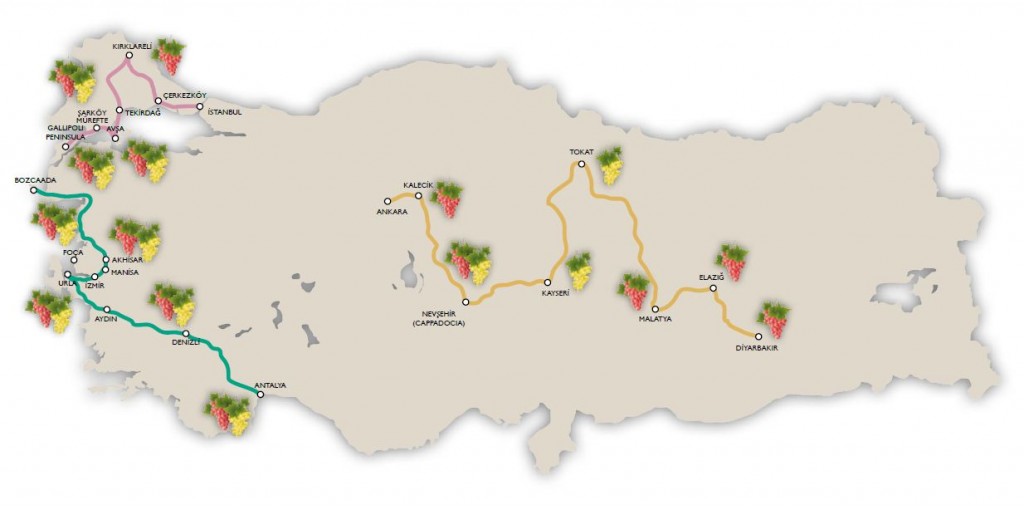 Strade del vino della Turchia