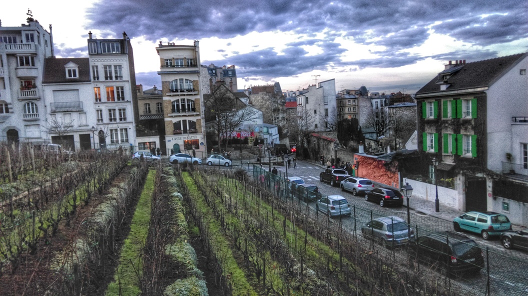 La Vigna di Montmartre