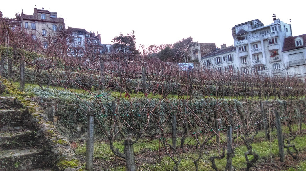 La Vigna di Montmartre